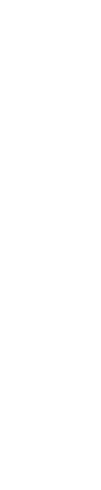 いつもの顔に