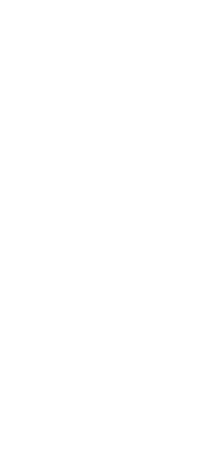 全てがメイン